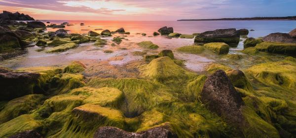 Meer, Küste, Sonnenuntergang Klaipeda