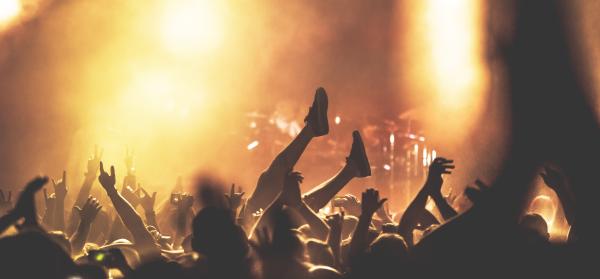 Festival, Konzert, Crowd Surfer