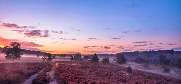 Lüneburger Heide