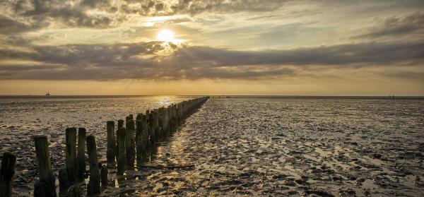 Dithmarschen, Nationalpark Wattenmeer Schleswig-Holstein