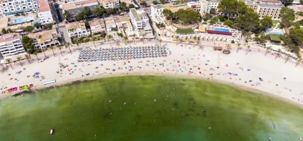 Playa Palmira Paguera