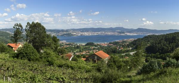 Ría de Vigo Vigo