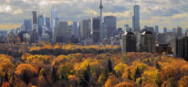 Skyline - Toronto