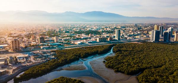 Stadt, Mangroven Ras Al-Khaimah