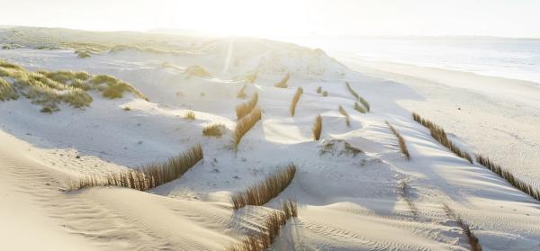 Strand Peniche