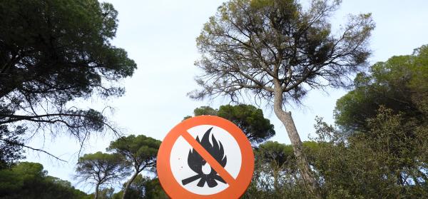 Waldbrand+Schild+Feuer