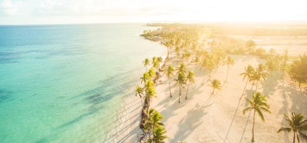 Strand, Palmen Dominikanische Republik