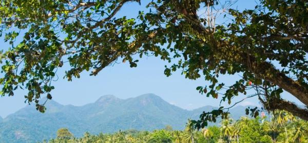 Inseln im Golf von Thailand (Koh Chang, Koh P