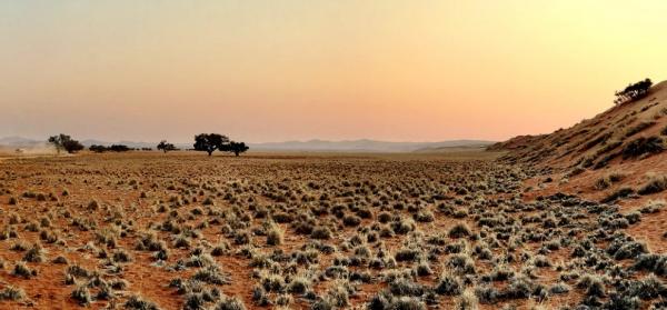 Namibia: Windhoek Umgebung - Emotion