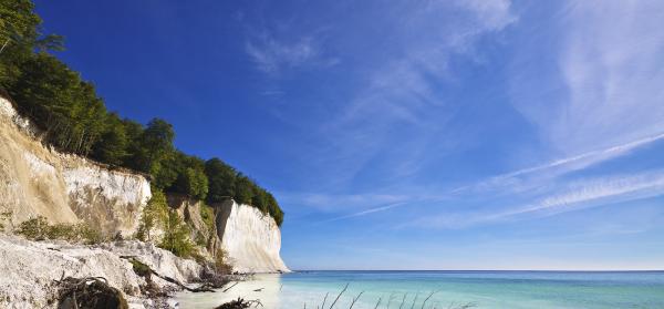 Kreidefelsen - Insel Rügen