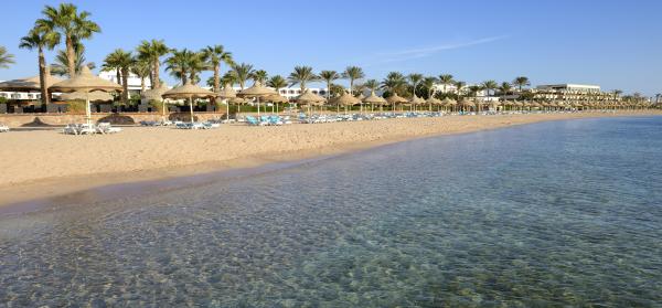 Sharks Bay