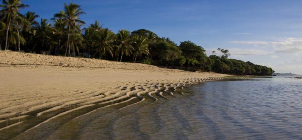 Tiwi Beach