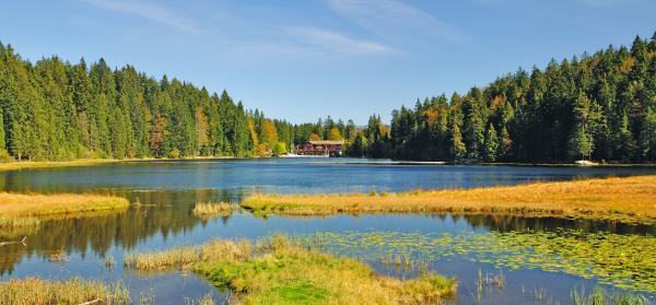 Bayerischer Wald