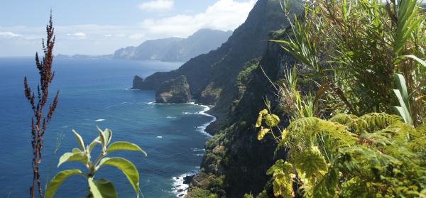 Madeira