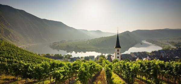 Weingut Bremm - Mosel