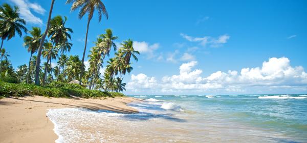 Strand, Meer, Palmen Brasilien: Bahia (Salvador da Bahia)