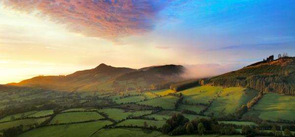 Berge, Wiese, Wald Irland