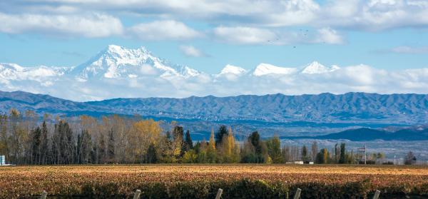 Berg, Wein, Anden Mendoza