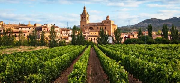 Wein, Berg, Kirche Nordspanien - Atlantikküste