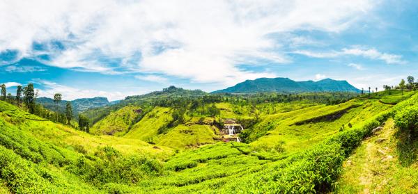 Nuwara Eliya