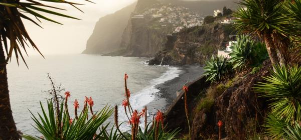 Cabo Giaro Madeira