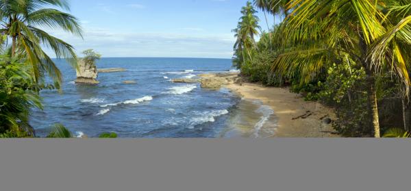 Strand, Meer, Palmen Playa De Manzanillo (Halbinsel Nicoya)