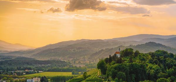 Wein, Weinberg, Sonnenuntergang, Kirche Maribor