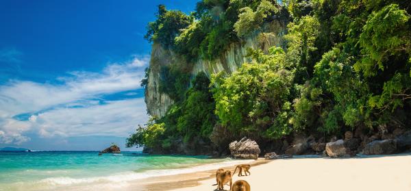 Monkey Beach Insel Koh Pee Pee (Phi Phi)