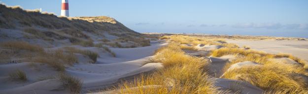 Ansicht vom Lister Ellenbogen auf Sylt mit Leuchtturm und Dünen.