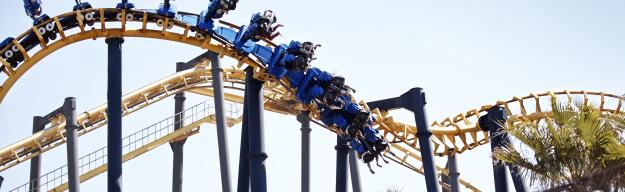 Achterbahn, Palme