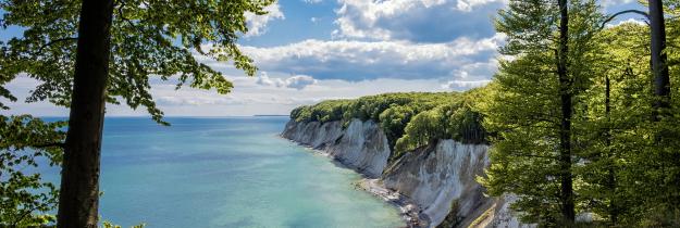 Kreidefelsen - Rügen Kreidefelsen - Rügen