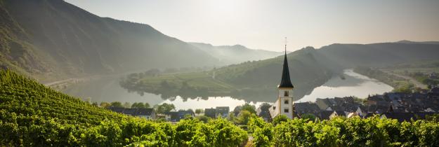 Deutschland: Mosel Wein