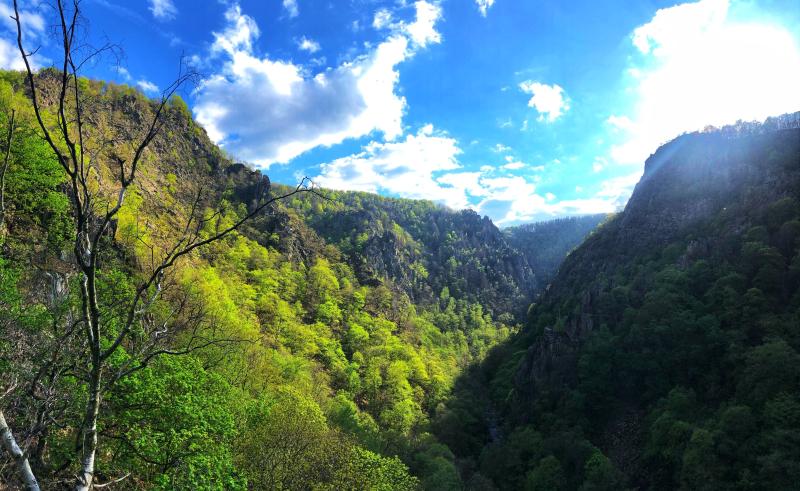 Bodetal im Harz