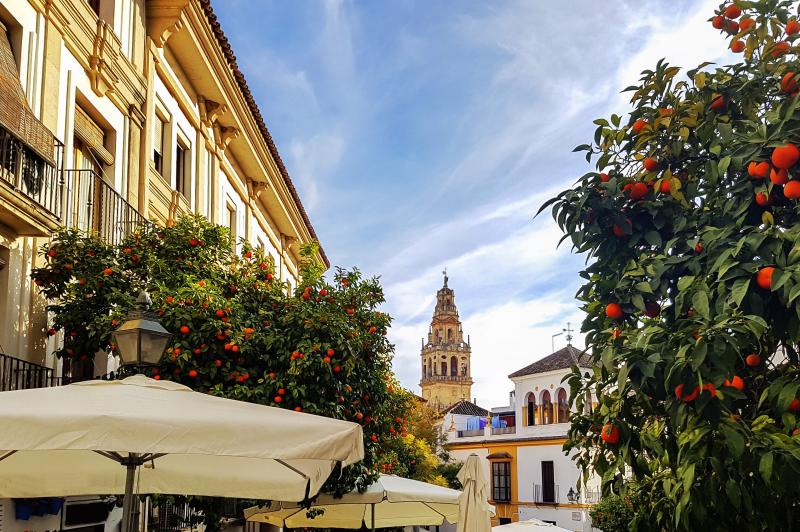 Andalusien: Altstadt in Sevilla