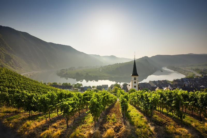 Weingut an der Mosel