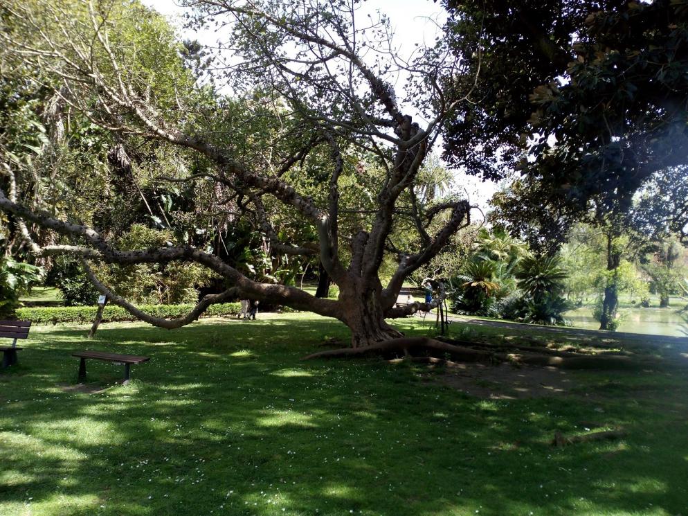 Lissabon, Botanischer Garten