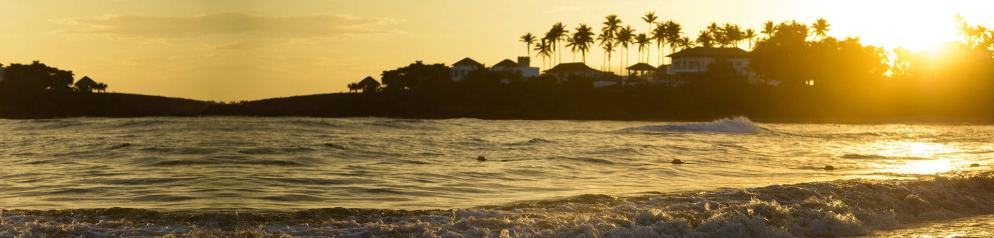 Corona: Dom-Rep_Emotion 1920x460