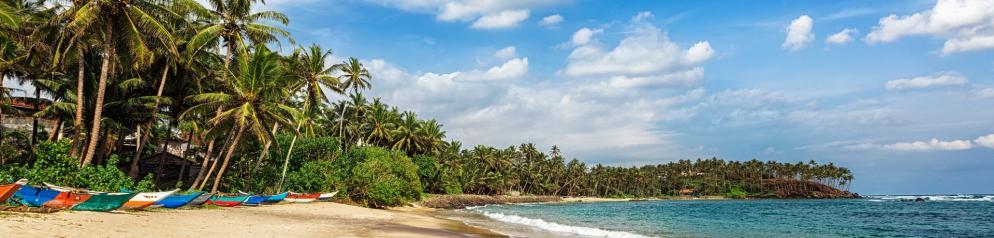 Corona: Sri Lanka_Emotion 1920x460