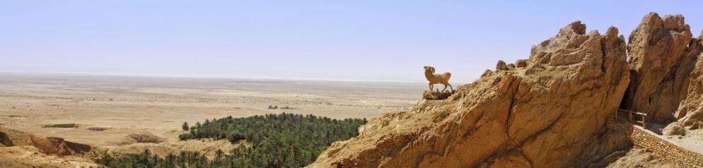 Corona: Tunesien_Emotion 1920x460