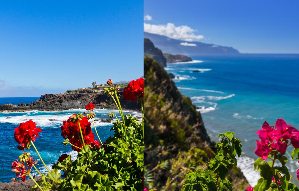 La-Palma-Madeira-Capri_GI_-165615627-816791016