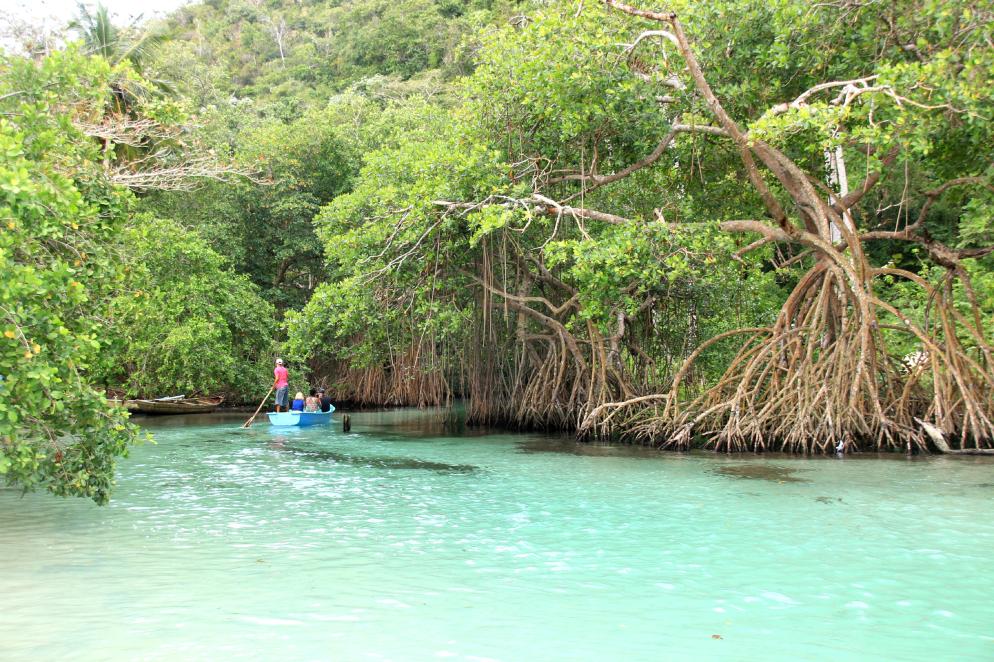 Playa Rincon - Dominikanische Republik Playa Rincon - Dominikanische Republik