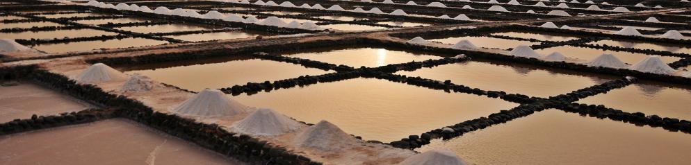 Salinas del Carmen Salinas del Carmen