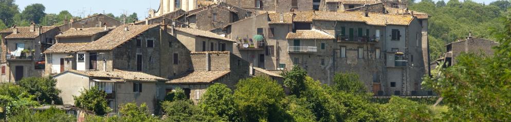 Il Casale degli Ulivi_GettyImages-177331439