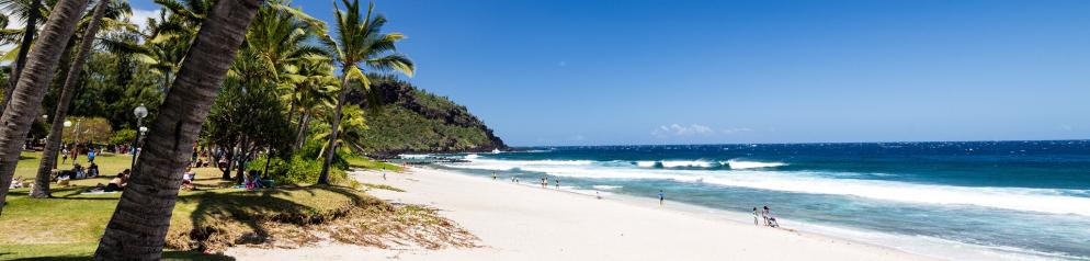Strand mit Palmen