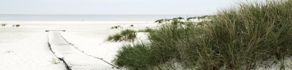 Dänemark_Bornholm_Dueodde Strand_slim