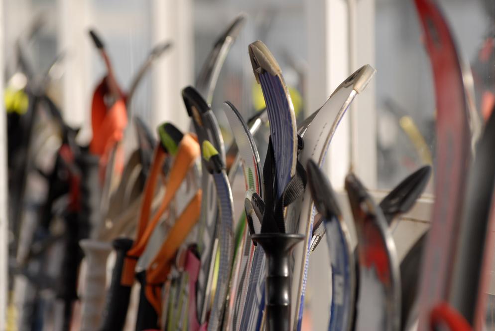 Sonstiges: Skier