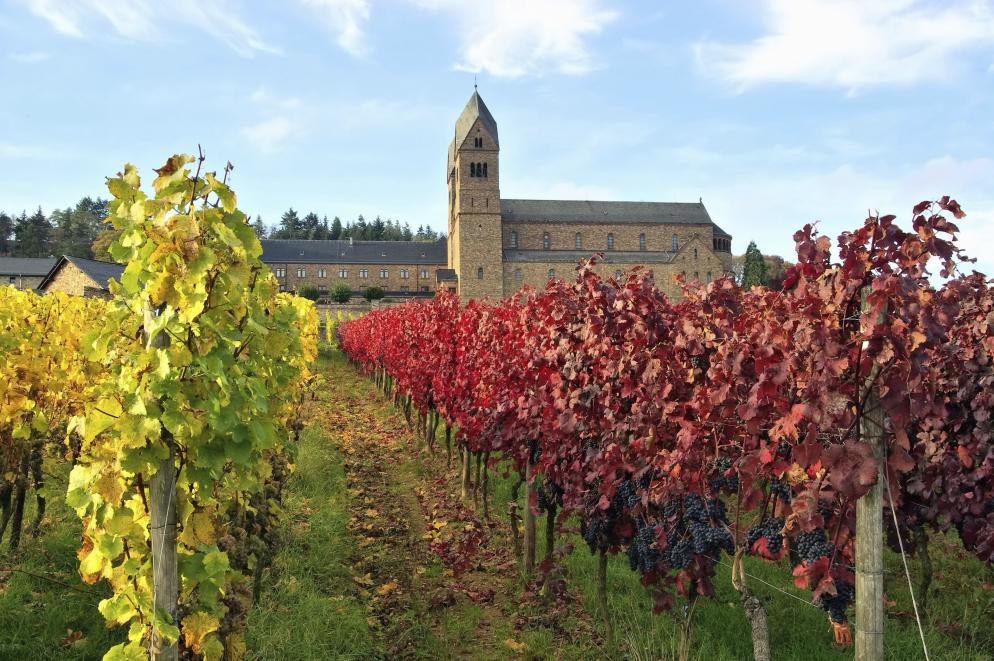 Rheingau Rheingau