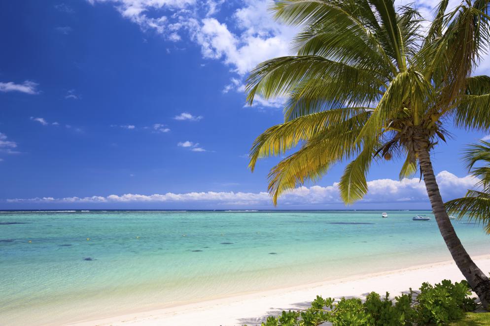 Blick auf Balaclava, Mauritius - Exotisches Reiseziel am Indischen Ozean