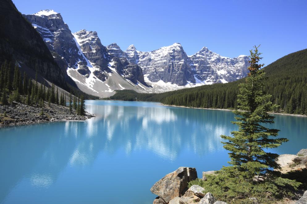 Alberta Alberta