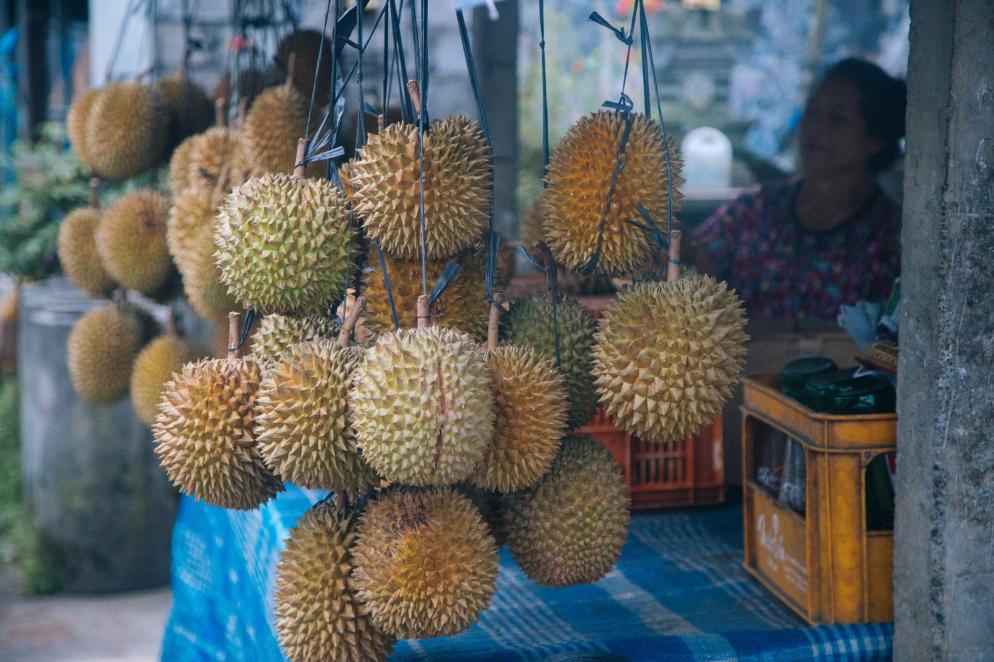 Gerichte Weltweit: Malaysia - Durian Frucht